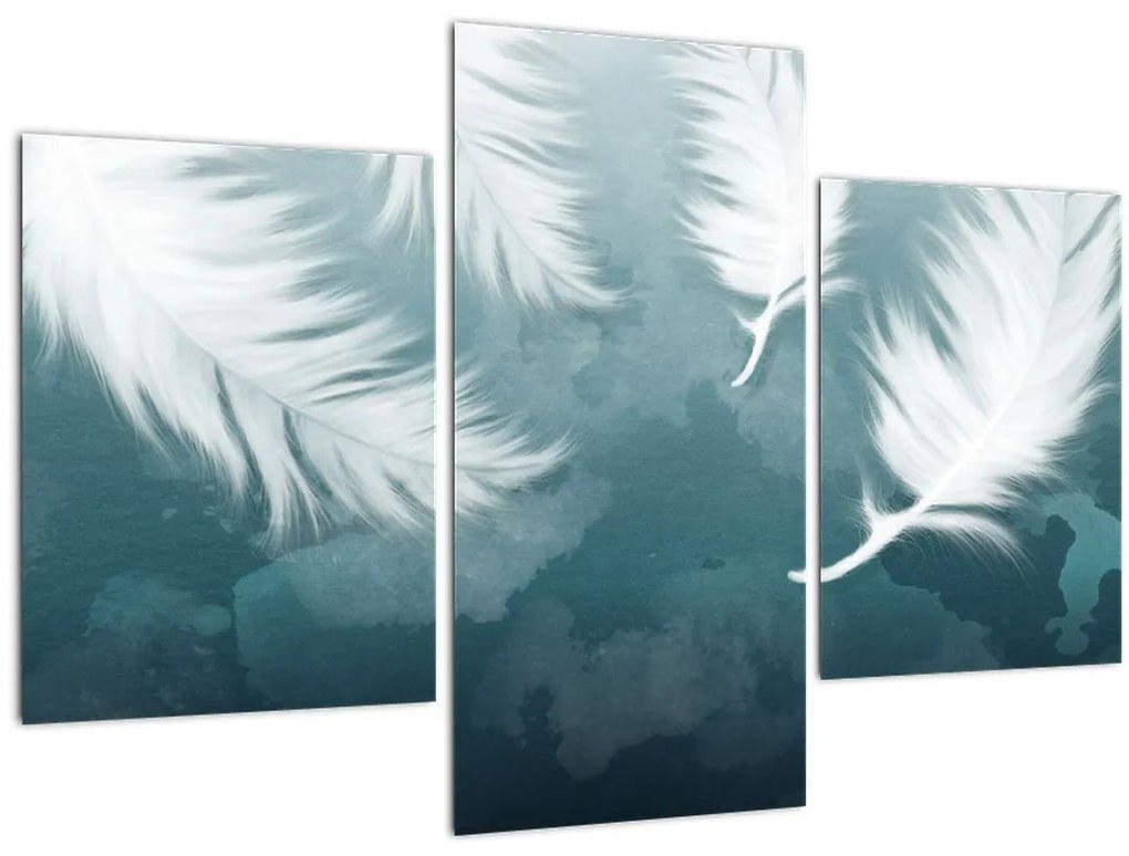 Tablou - Pene albe (90x60 cm)