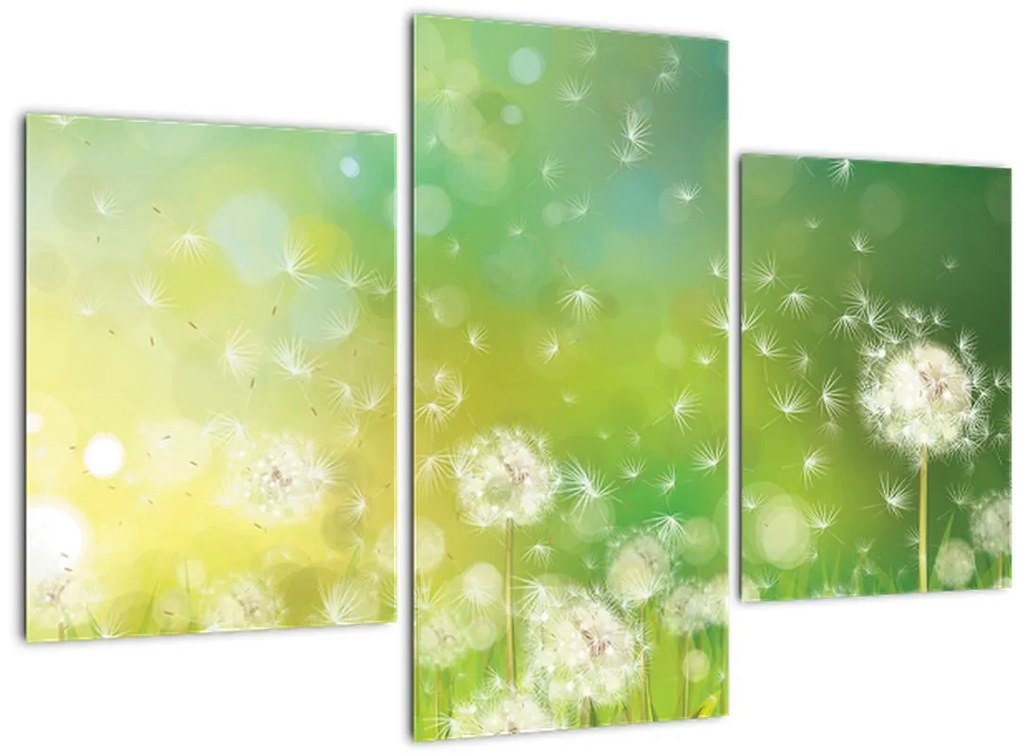 Tablou - Păpădie înflorită (90x60 cm)