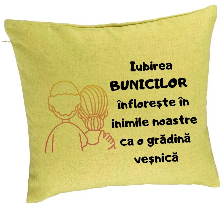 Perna Decorativa pentru Bunici 10, 40x40 cm, Verde, Husa Detasabila, Burduf