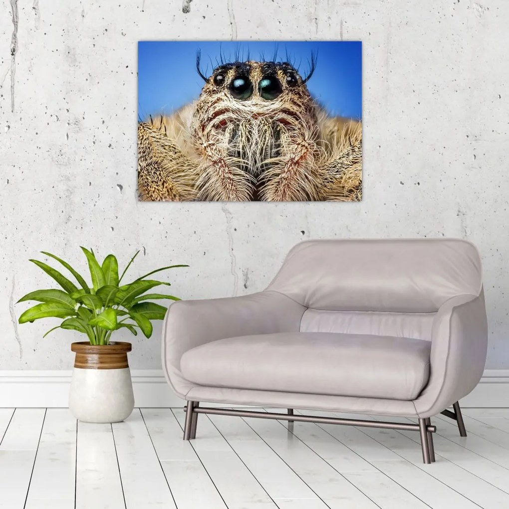 Tablou pe sticlă cu detalii a unui pâianjen (70x50 cm)