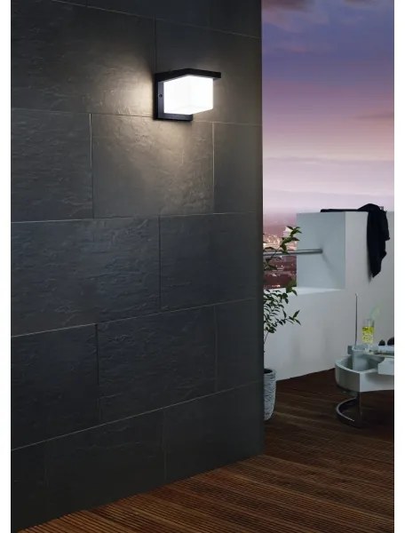 Eglo 95097 - Corp de iluminat perete exterior DESELLA 1 LED/10W/230V