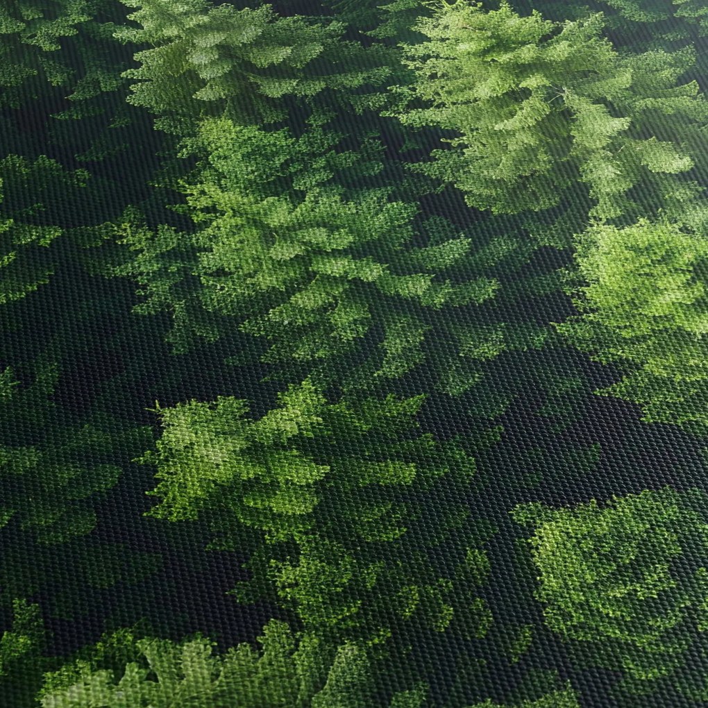 Tablou - Pădure (150x105 cm)