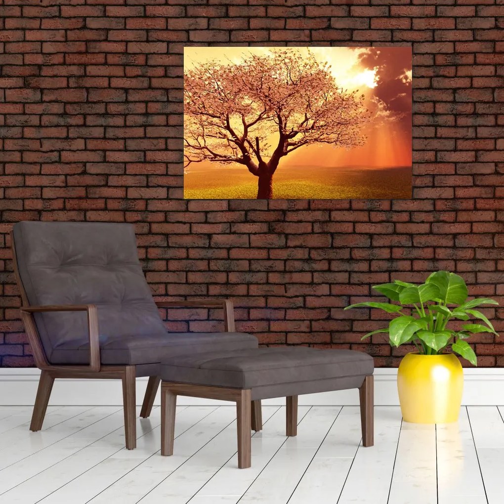 Tablou cu razele lui Dumnezeu (90x60 cm)