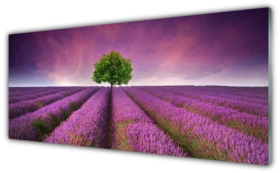 Tablouri acrilice Meadow copac Natura Roz Verde Violet