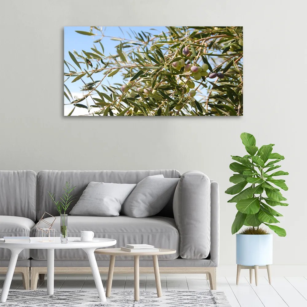 Tablou pe pânză canvas Oliv