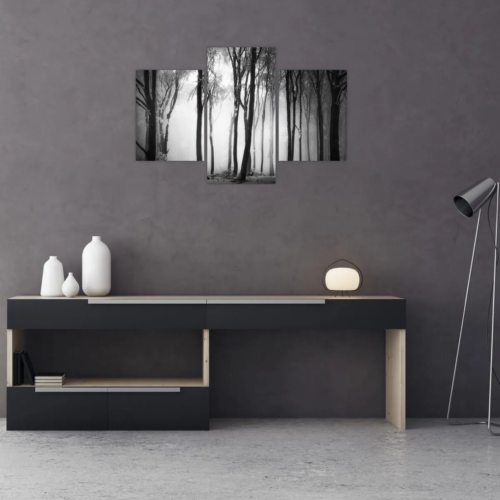 Tablou - Lup în pădurea întunecată (90x60 cm)