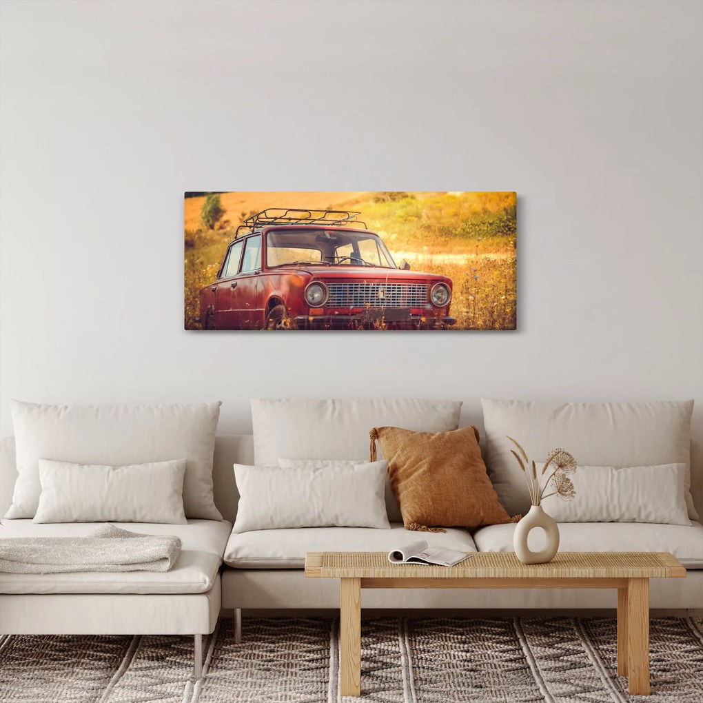 Tablou cu mașină în câmp (120x50 cm)