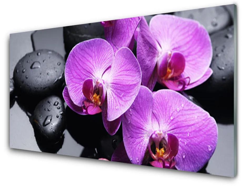 Tablou pe sticla Pietre florale flori violet negru