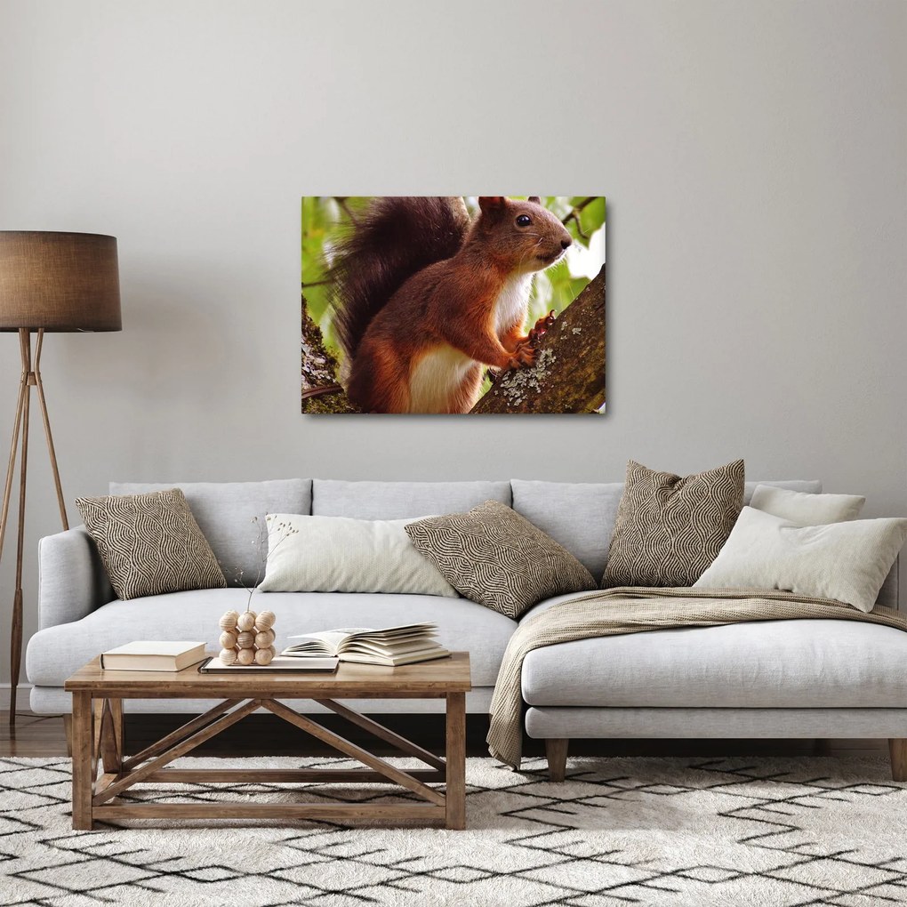 Tablou cu veverița (70x50 cm)