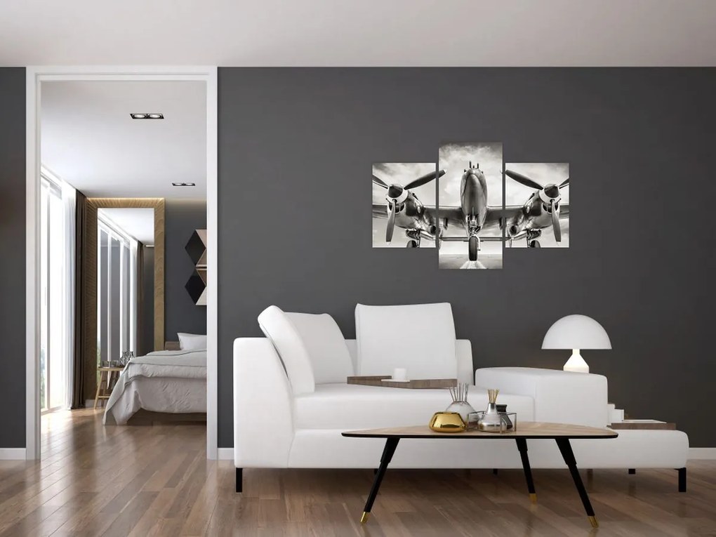 Tablou - Warbird (90x60 cm)