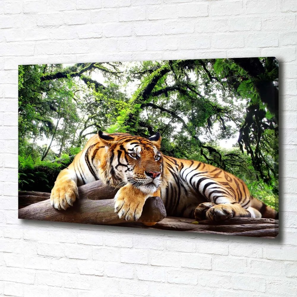 Tablou pe pânză Tiger pe stâncă