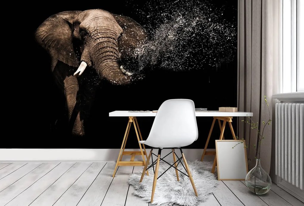 Fototapet - Elefant (152,5x104 cm)
