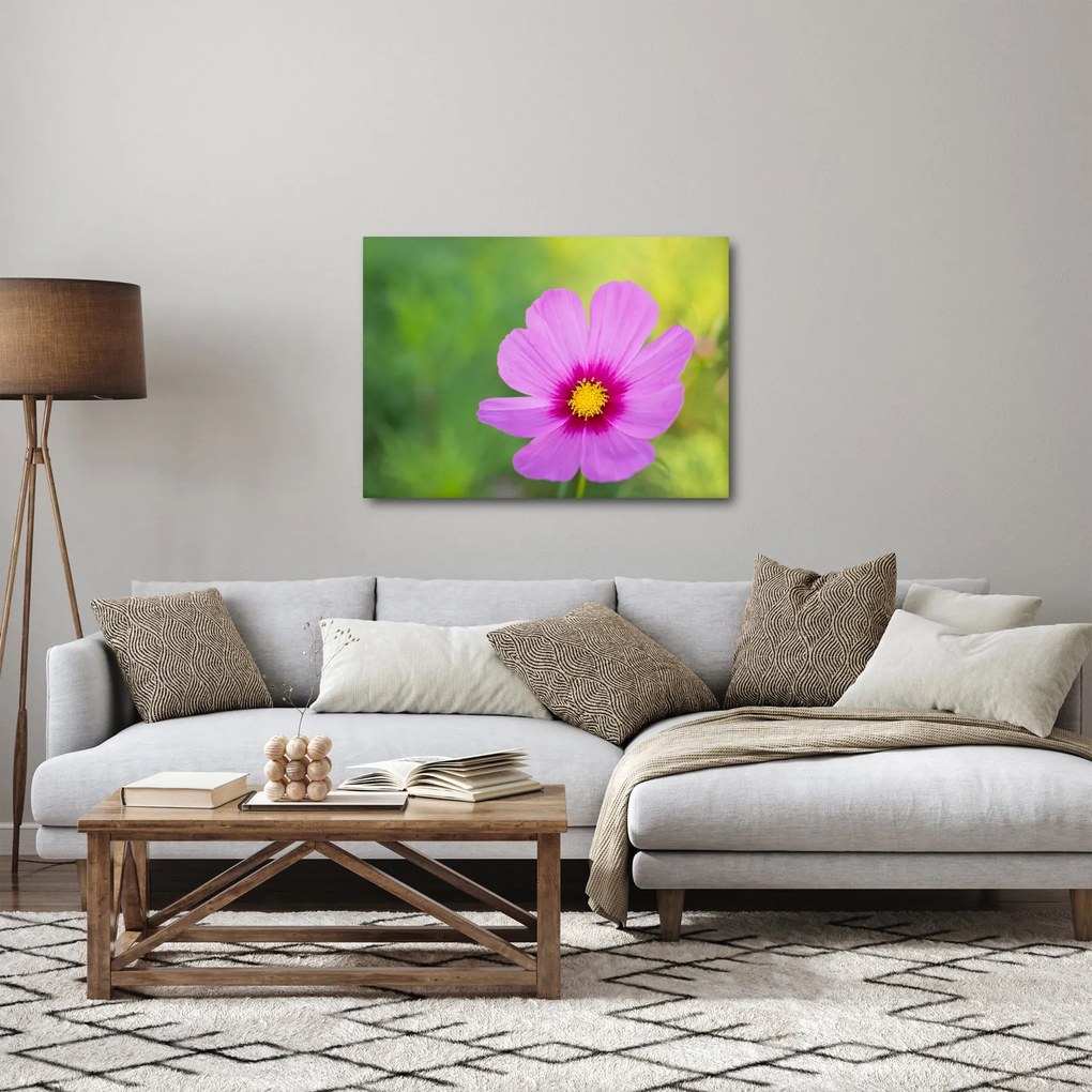 Tablou - floare de câmp (70x50 cm)