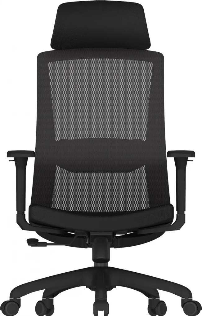 Scaun ergonomic SIHOO M86C –Suport lombar și Cotiere reglabile, Tetieră reglabilă, Mecanism Synchro cu poziție de blocare, Spătar înalt din plasă respirabilă, Rotativ, Negru