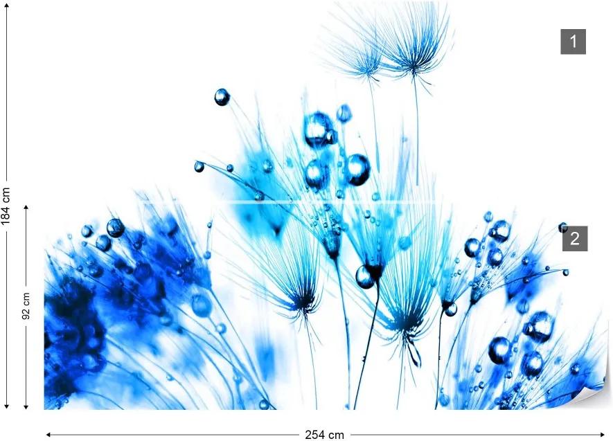GLIX Fototapet - Modern Dandelion Blue And White Vliesová tapeta  - 254x184 cm