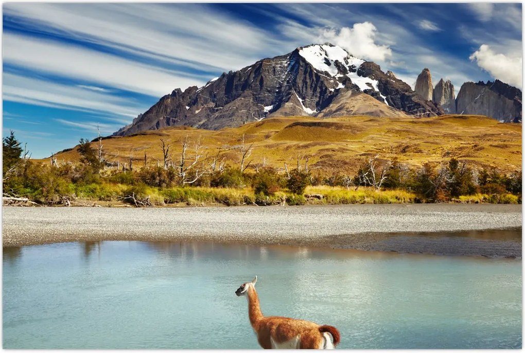 Tablou - Parcul Național Torres del Paine (90x60 cm)