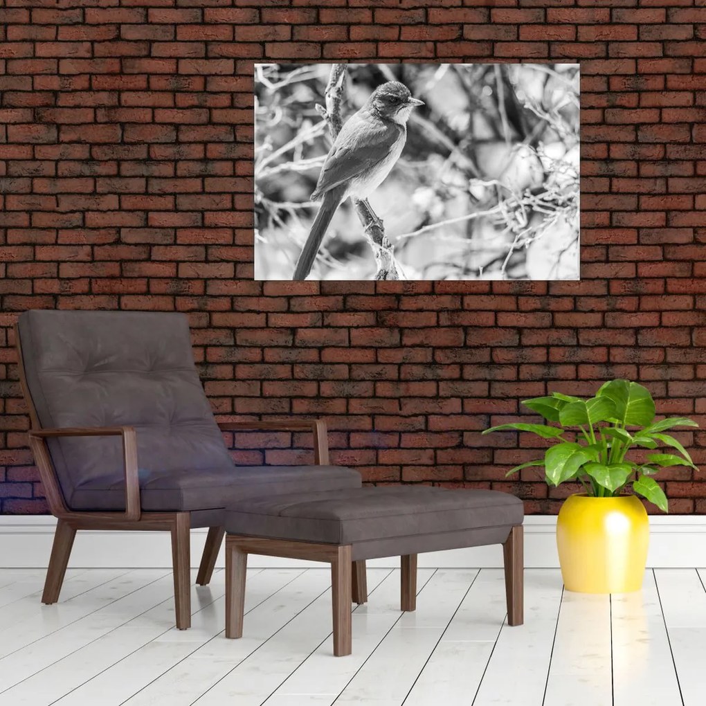 Tablou - Bluebird în timpul iernii (90x60 cm)