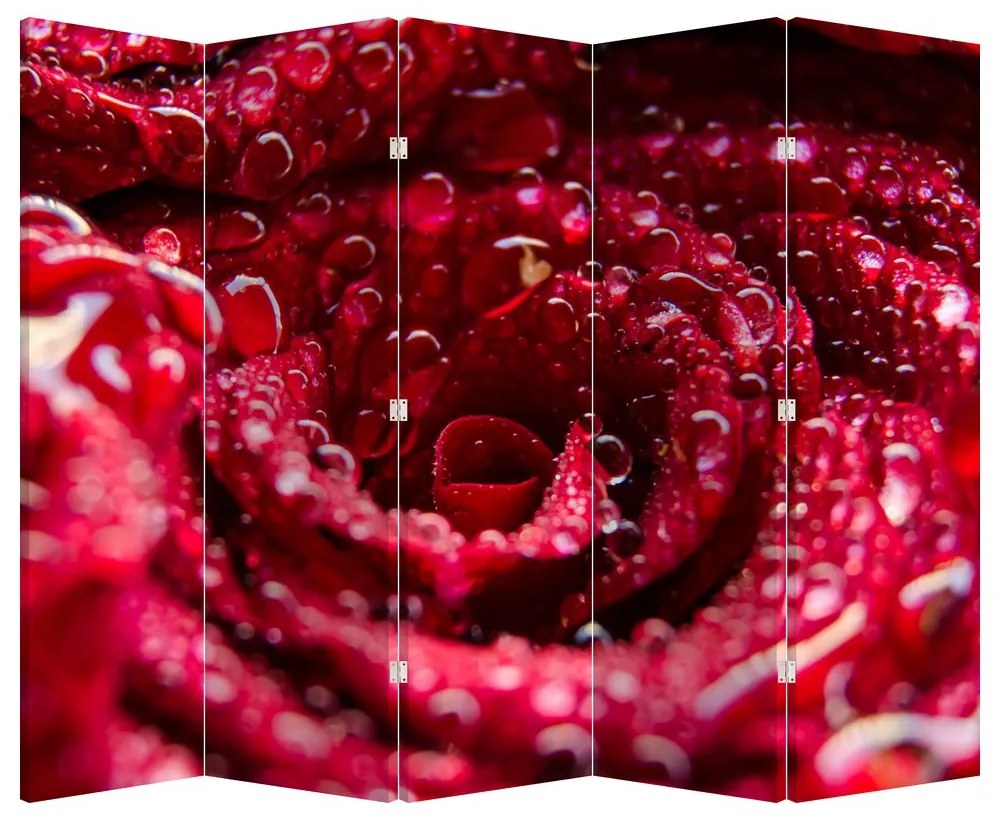 Paravan - floarea trandafirului roșu (210x170 cm)