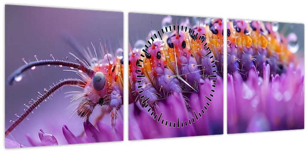 Tablou - Caterpillar (cu ceas) (90x30 cm)