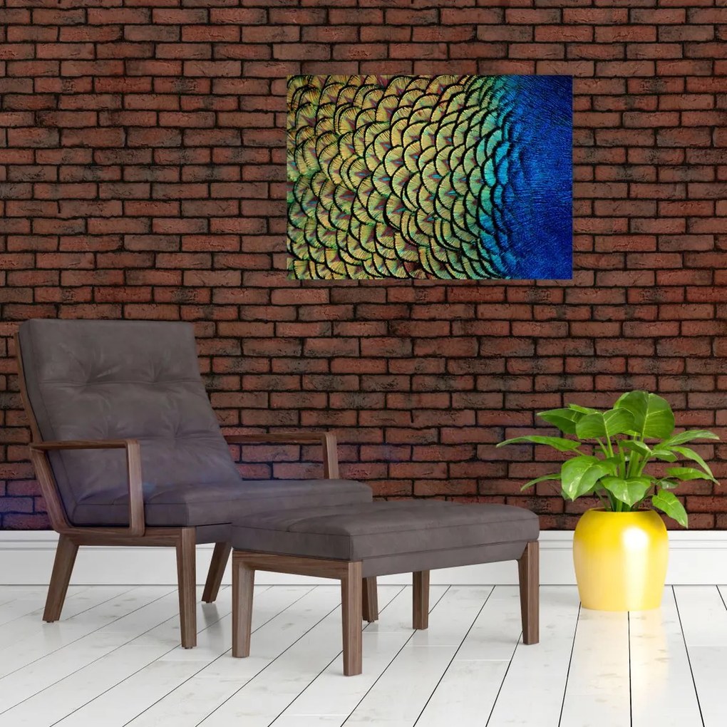 Tablou pe sticlă - Pene de păun (70x50 cm)