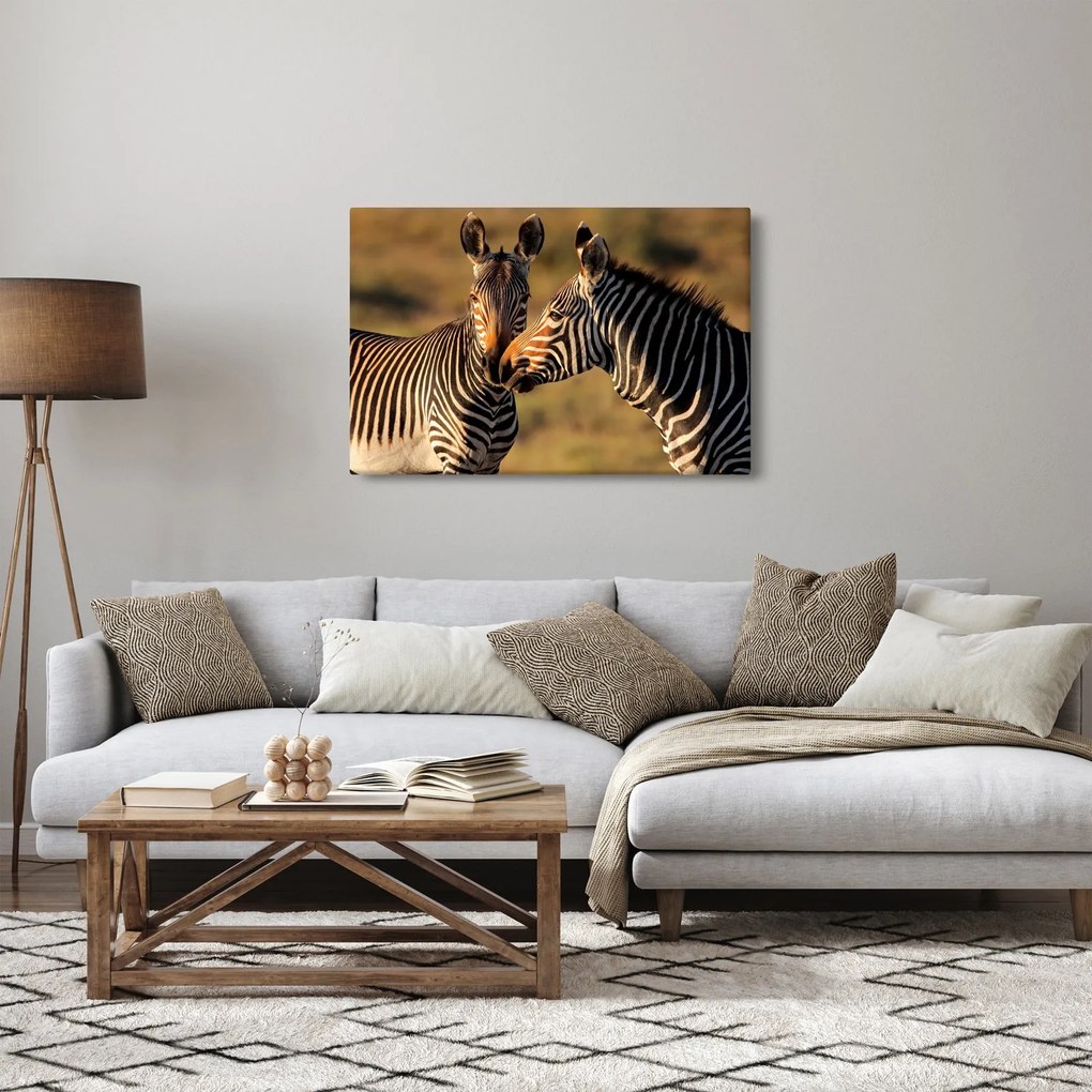 Tablou - Două zebre (90x60 cm)