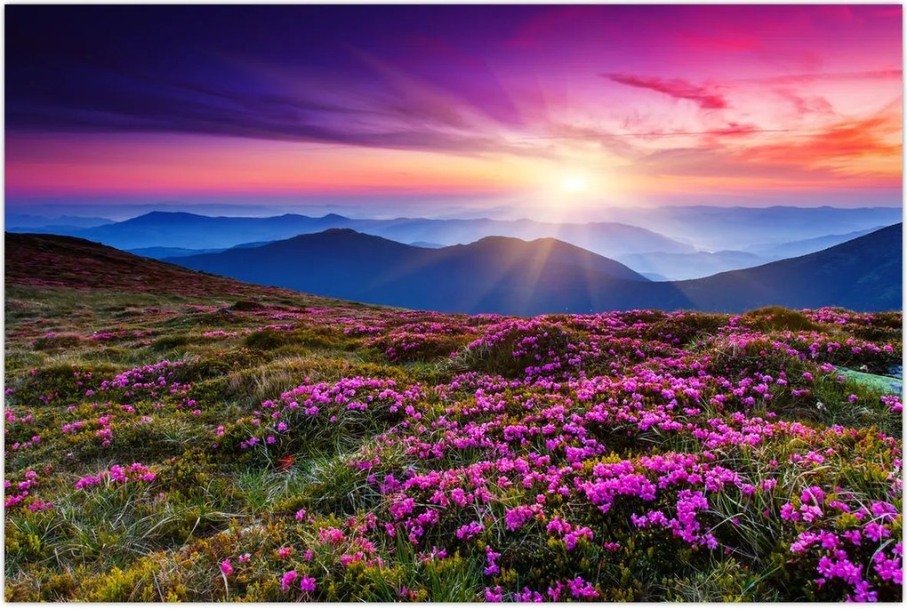 Tablou - Munte înflorit peisaj (90x60 cm)