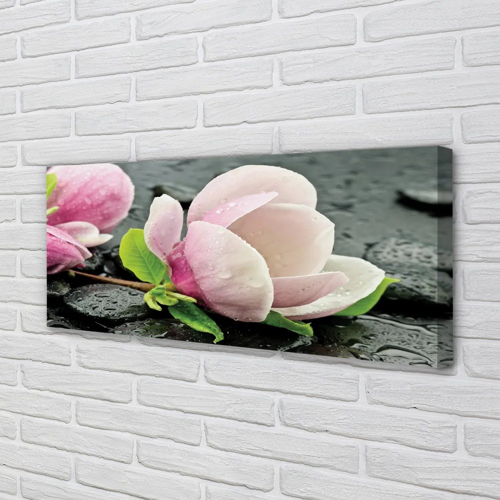 Tablouri canvas pietre Magnolia