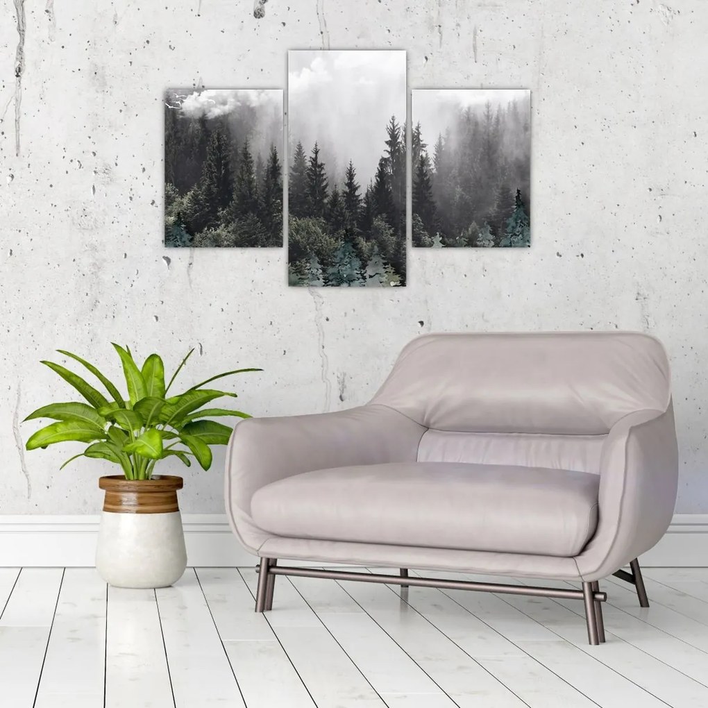 Tablou - Pădure cu elemente ilustrate (90x60 cm)
