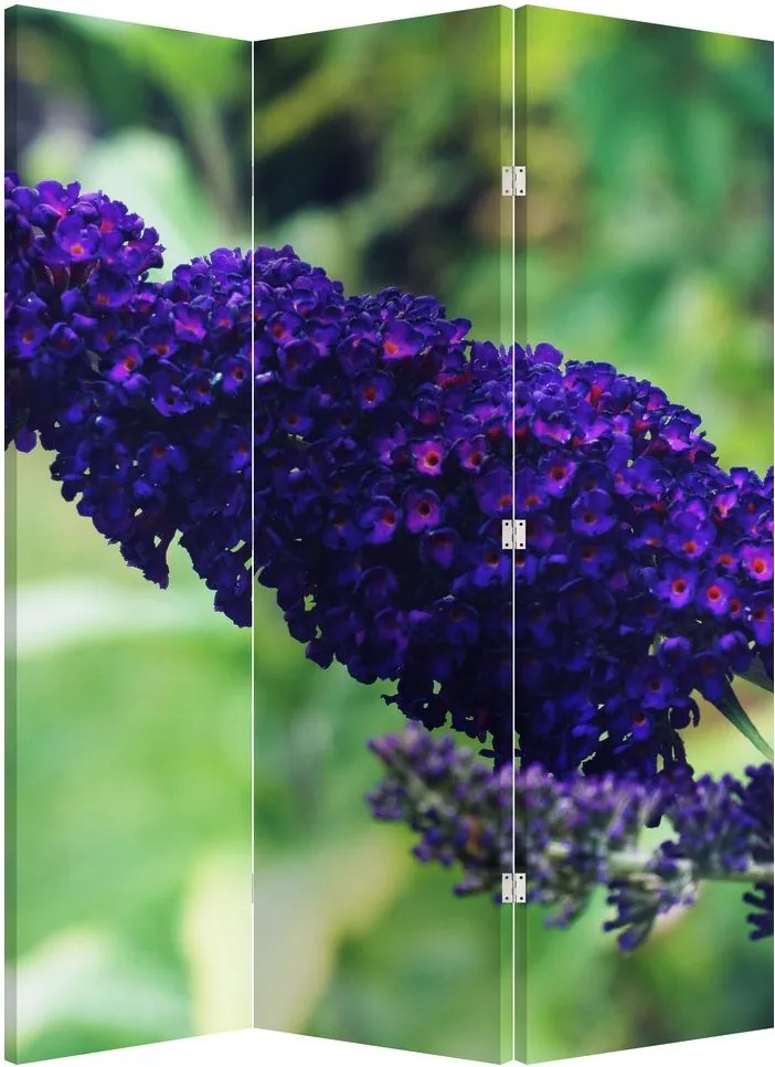 Paravan - Floare albastră (126x170 cm)