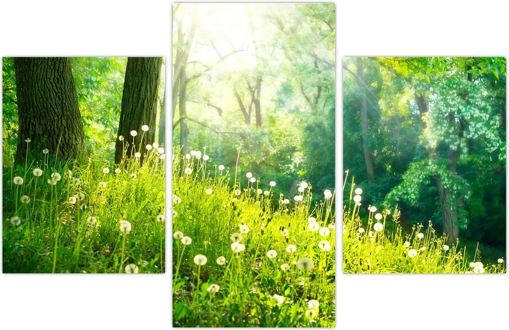 Tablou - Pajiște magică plină de păpădii (90x60 cm)