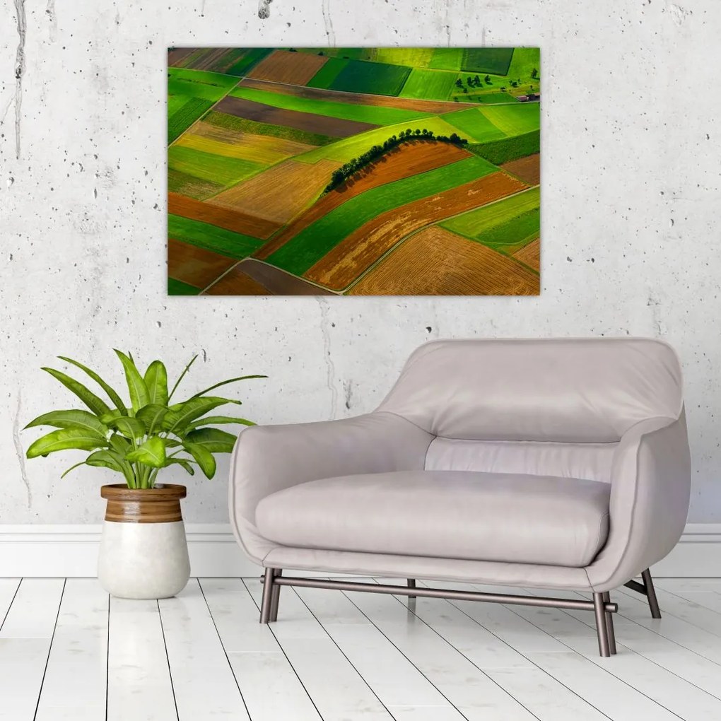 Tablou - Lan, luncile (90x60 cm)