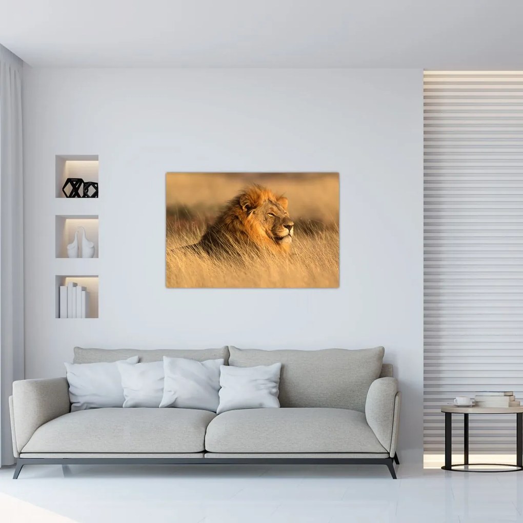 Tablou - Parcul Național Etosha (90x60 cm)