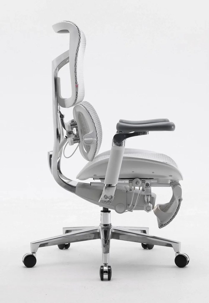 Scaun ergonomic SIHOO DORO S300 ADAPTIVE, cotiere 6D ultra moi, suport lombar adaptiv, spătar reglabil pe inaltime, mecanism multifunctional inclinare/blocare, pivotant, Mesh, Gri