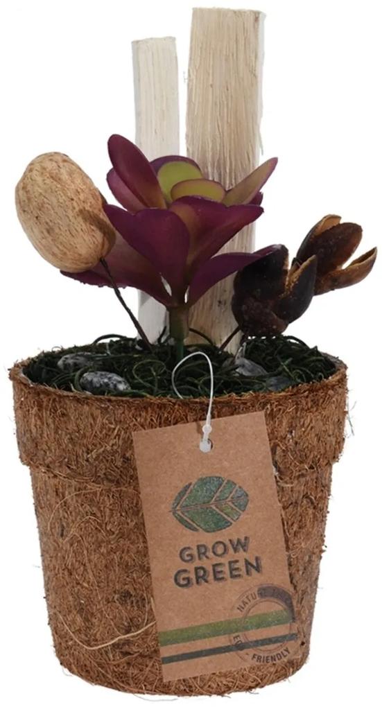 Planta decorativa in ghiveci Purple Succulent