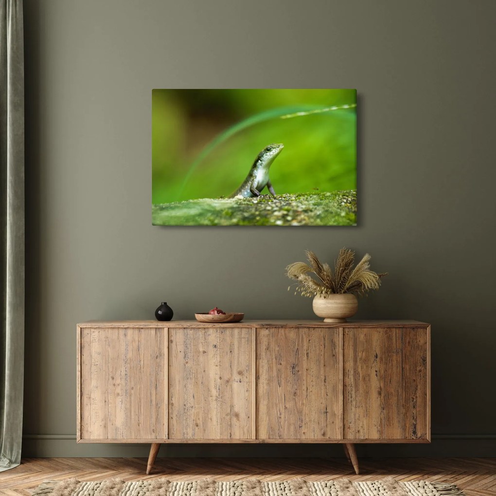 Tablou cu șopârlă (90x60 cm)