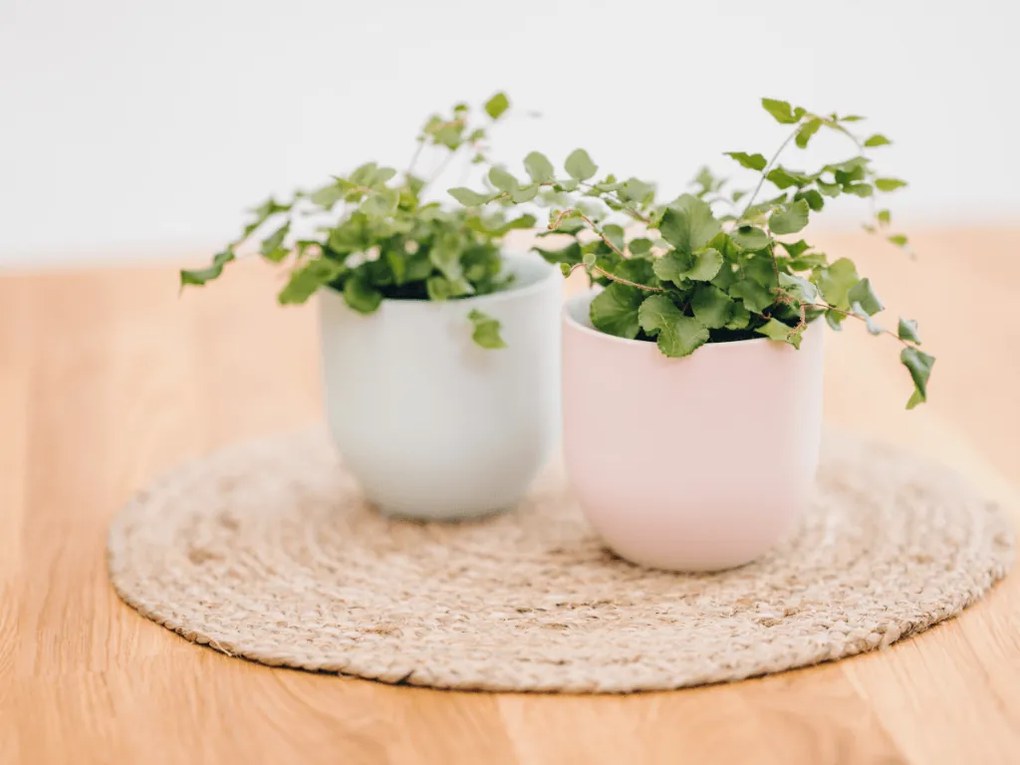 Vas din ceramica Culoare albastru deschis, SHIRE