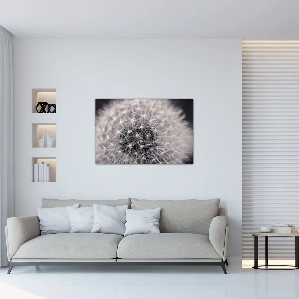 Tablou cu păpădie (90x60 cm)