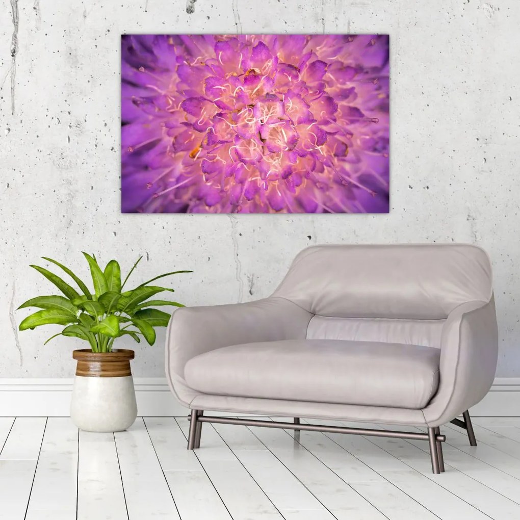 Tablou detailat cu floare (90x60 cm)