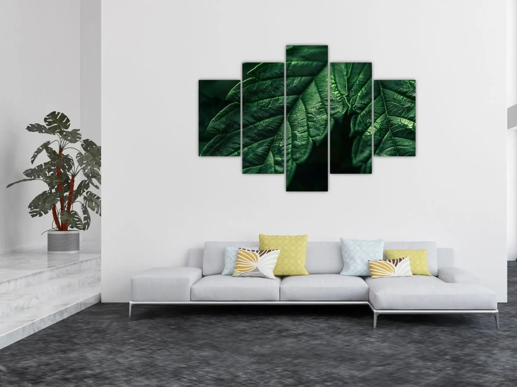 Tablou - Detaliu al foii (150x105 cm)