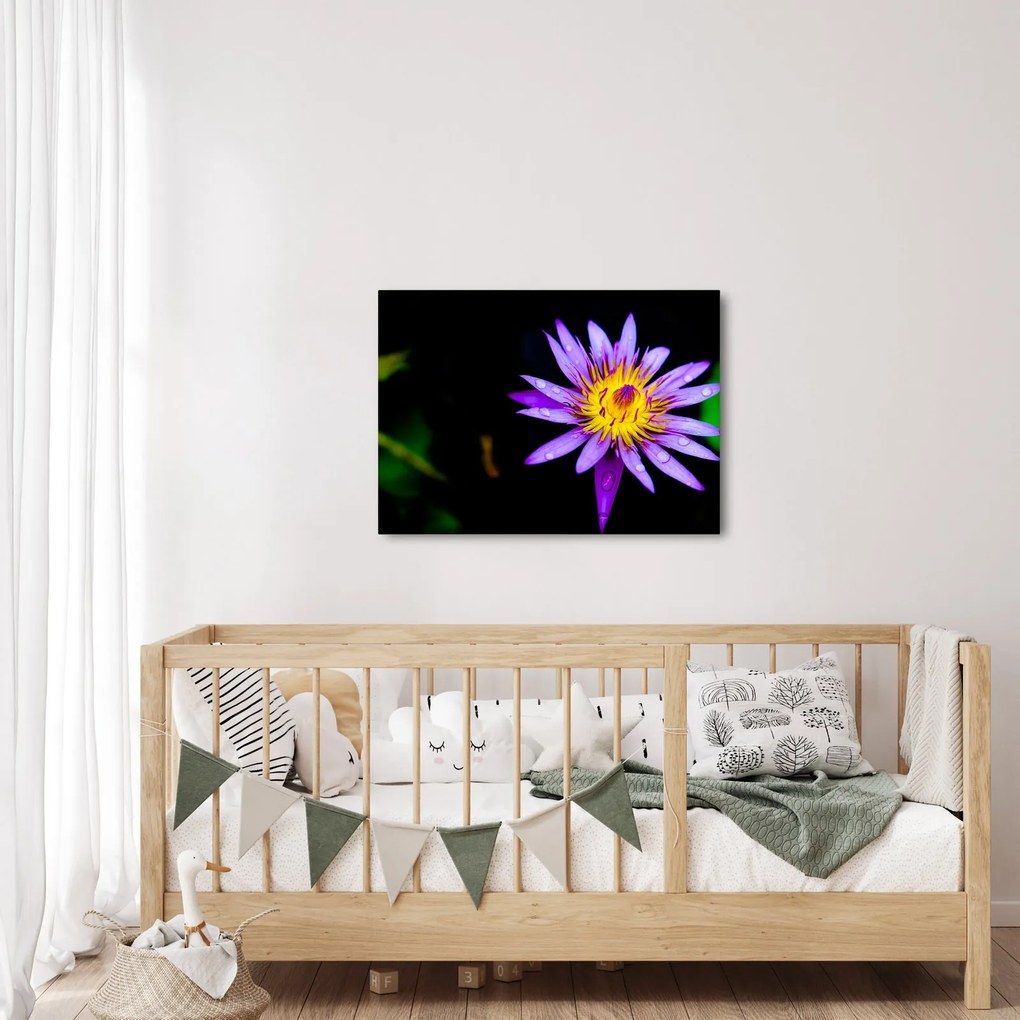 Tablou cu floare (70x50 cm)