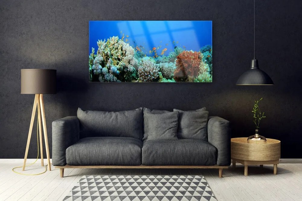 Tablouri acrilice Coral Reef Natura Multi