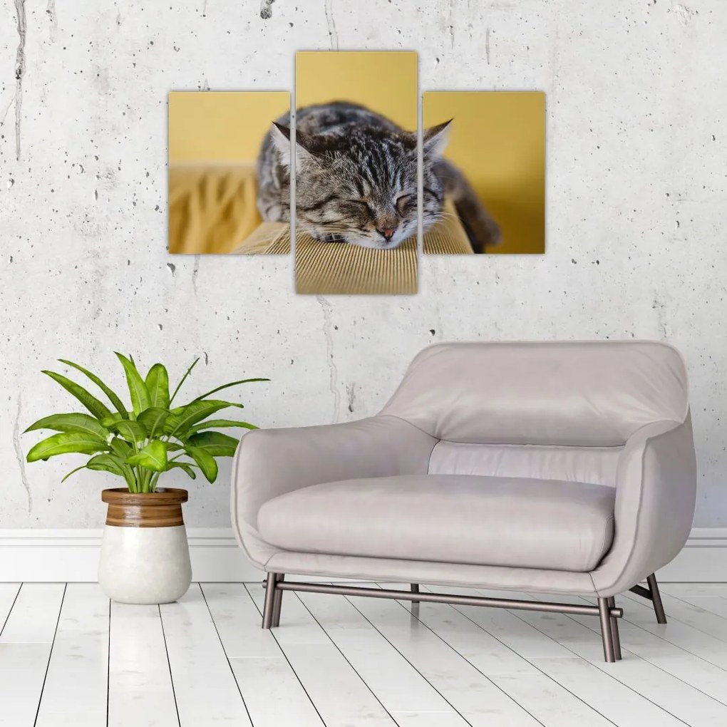 Tablou cu pisica pe fotoliu (90x60 cm)