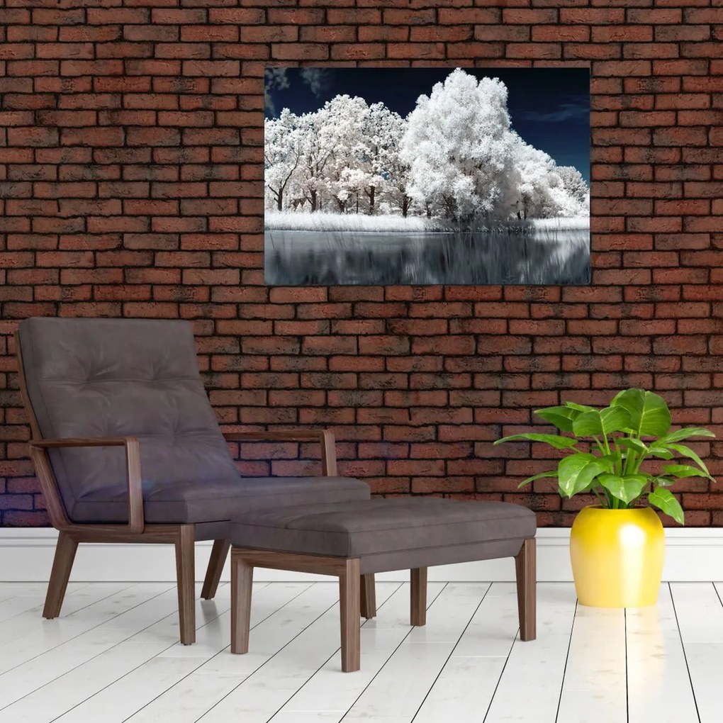 Tablou - Albă ca Zăpada Albă ca Zăpada Copaci (90x60 cm)