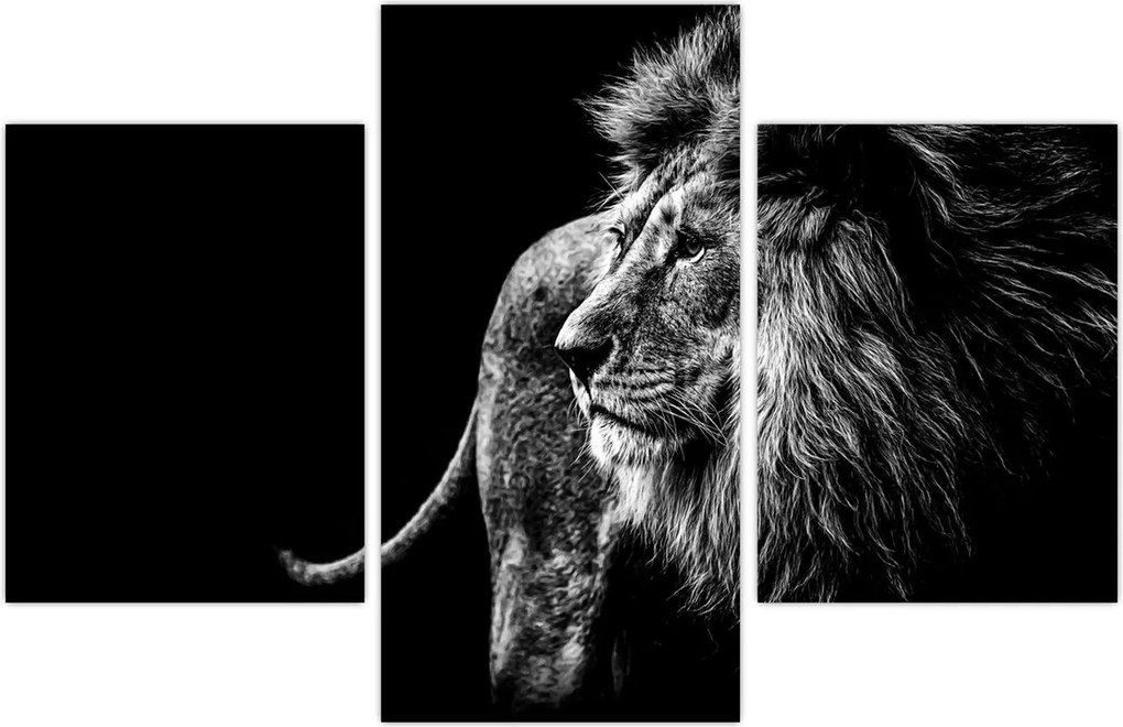 Tablou - Leu, alb și negru (90x60 cm)