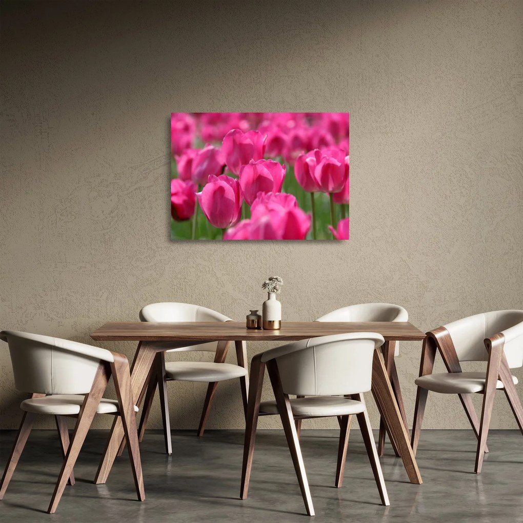 Tablou pe sticlă - Lalele roz (70x50 cm)