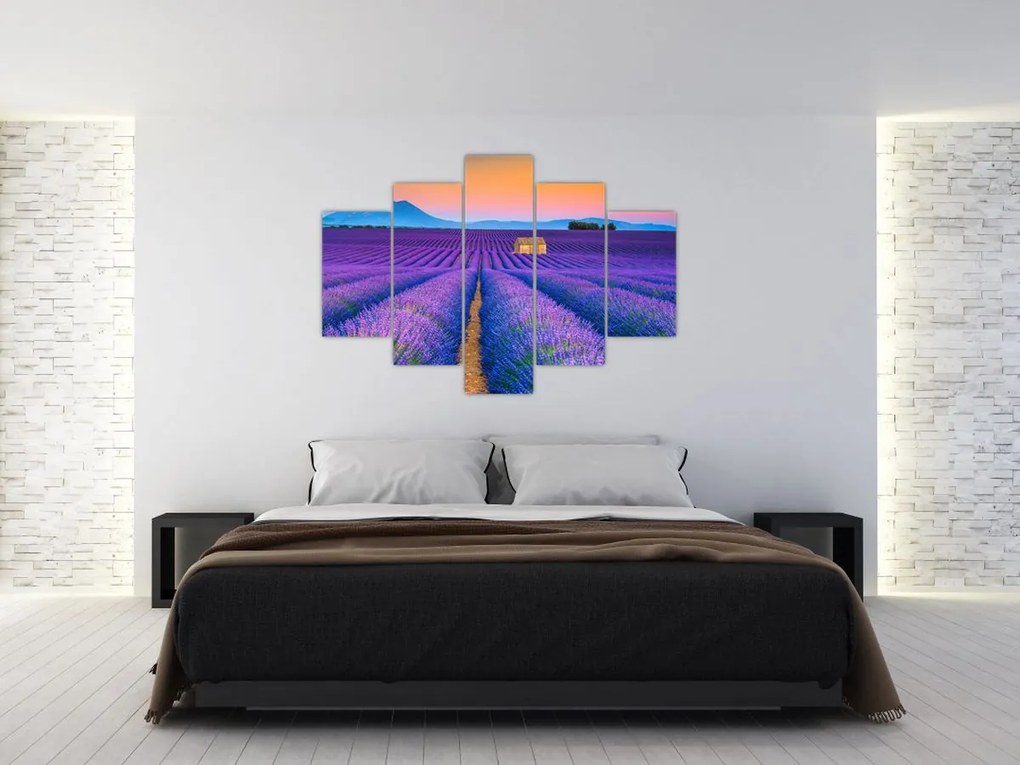 Tablou - Câmp de levănțica (150x105 cm)