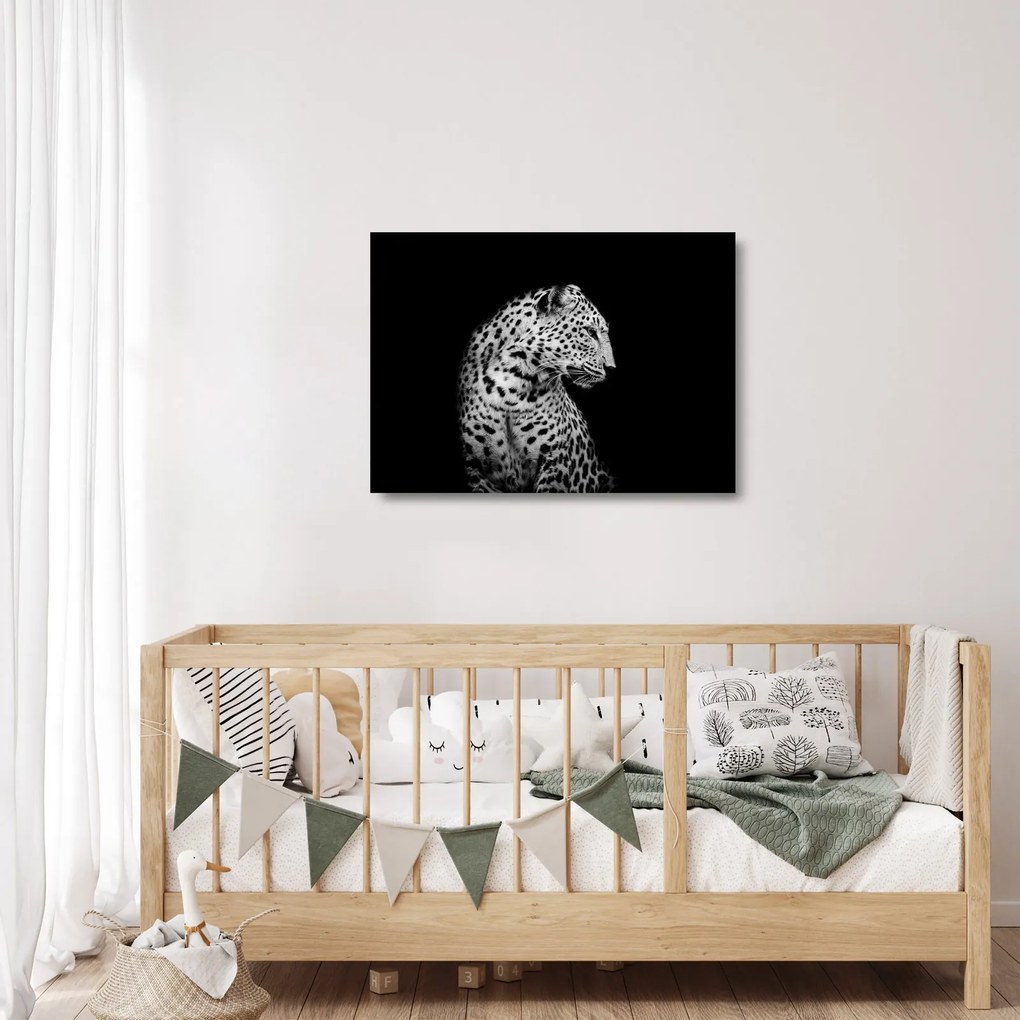Tablou pe sticlă - Leopardul (70x50 cm)