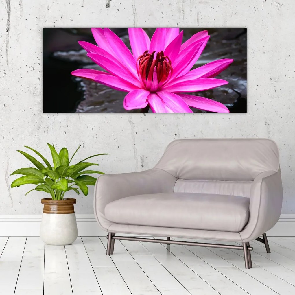 Tablou - floarea roz (120x50 cm)