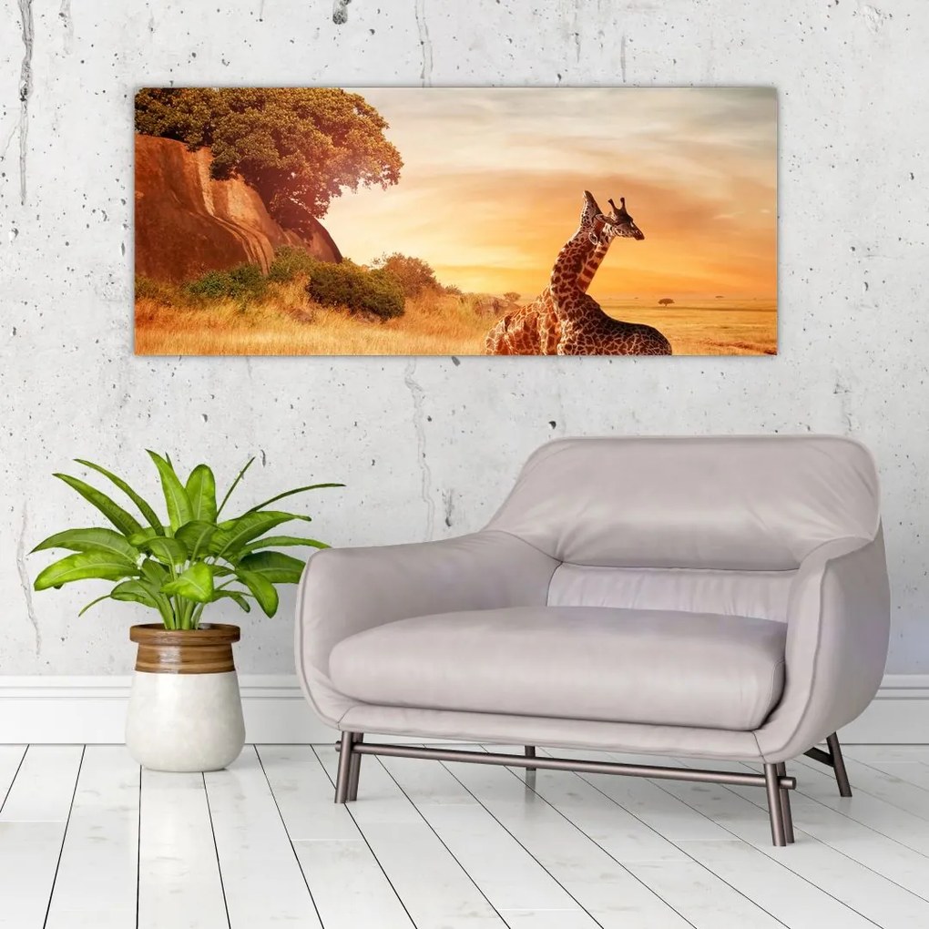 Tablou Girafe în Africa (120x50 cm)
