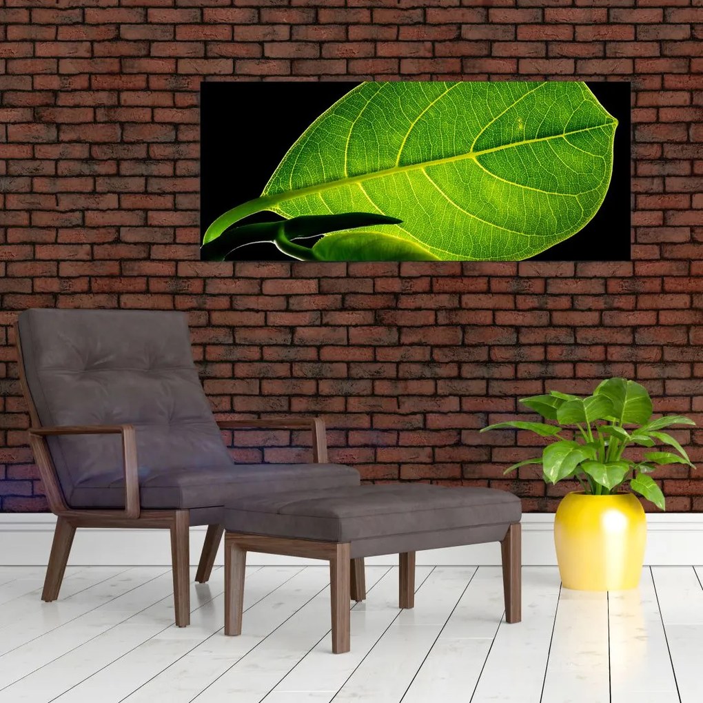 Tablou - frunză verde (120x50 cm)